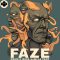 Ghost Syndicate FAZE: Drum &  Bass [WAV, Ableton Live] (Premium)