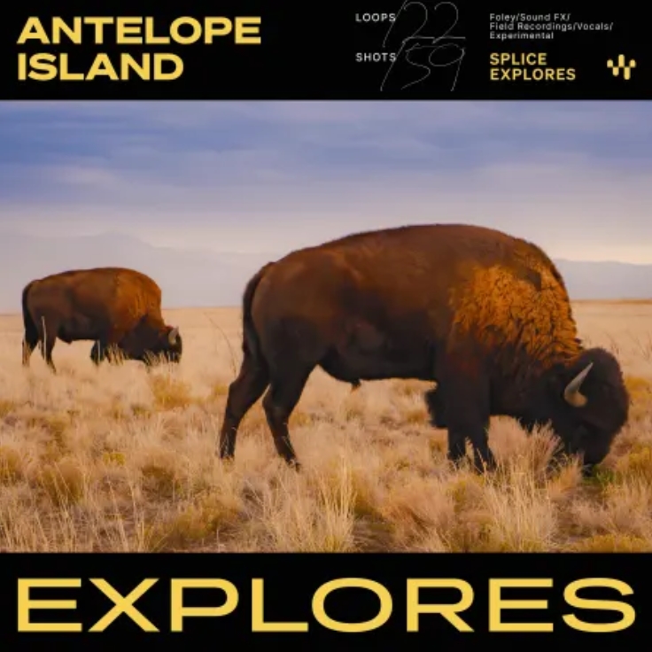 Splice Explores Antelope Island [WAV]