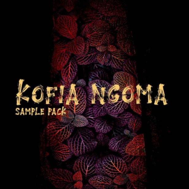 T-kid The Producer Kofia Ngoma Sample Pack [WAV, MiDi]