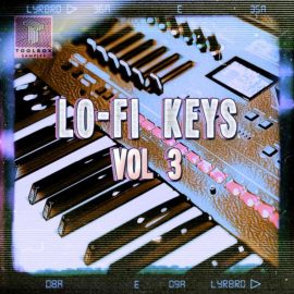 Toolbox Samples Lo-Fi Keys Vol 3 [WAV] (Premium)
