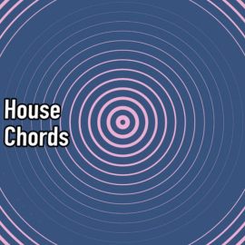 AudioFriend House Chords [WAV] (Premium)