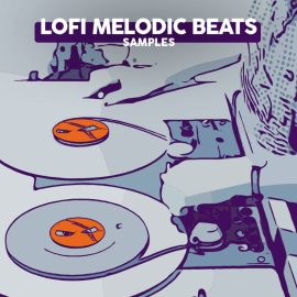 Dabro Music Samples Lofi Melodic Beats [WAV, MiDi, Synth Presets] (Premium)