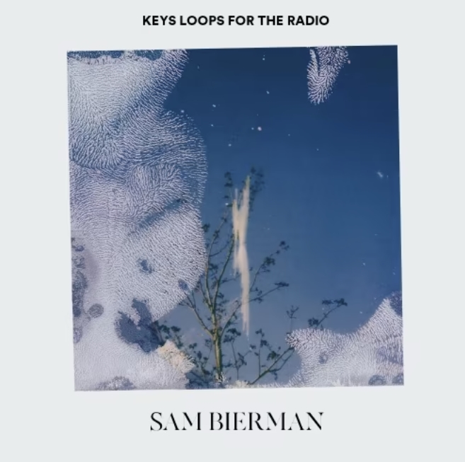 Sam Bierman Keys Loops For The Radio [WAV]