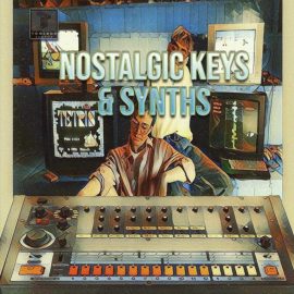 Toolbox Samples Nostalgic Keys & Synths [WAV] (Premium)