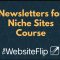 Mushfiq Sarker – Newsletters for Niche Sites Course Download 2023 (Premium)