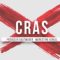 Cras Samples BUNDLE 13-in-1 [WAV, MiDi] (Premium)