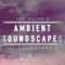 Tom Wolfe Ambient Soundscapes for Soundtoys 5 Effect Rack (Premium)