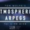 Tom Wolfe Atmospheric Arpegs  (Premium)