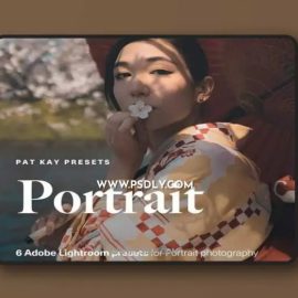 Pat Kay – Portrait Presets (Premium)