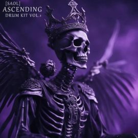 SAOL Ascending Drum Kit Vol.1 (Premium)