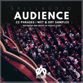 Spillaudio Audience (Premium)