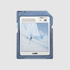 WavSupply PAX Lumi (Phrase Kit) (Premium)