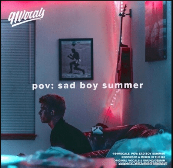 91Vocals pov sad boy summer