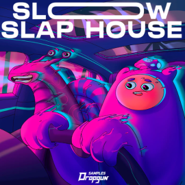 Dropgun Samples Slow Slap House (Premium)