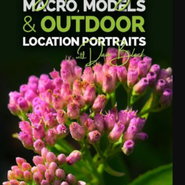 KelbyOne – Lightpainting: Macro, Models, and Outdoor Location Portrait (Premium)