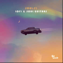 LEX Sounds Soul Fi Lofi and Soul Guitars (Premium)