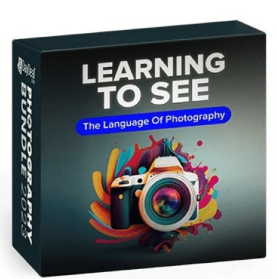 Learning to See – Alex Kilbee
