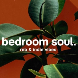 Origin Sound bedroom soul (Premium)