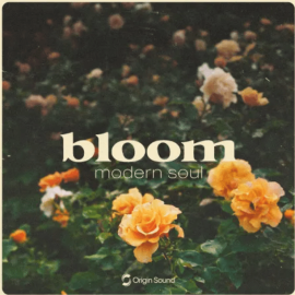 Origin Sound bloom modern soul (Premium)