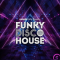 Sample State Funky Disco House (Premium)