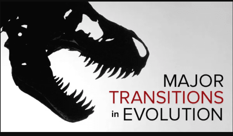 TTC – Major Transitions in Evolution