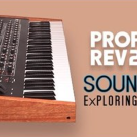 Analog Audio Exploring Prophet Rev2 Patches (Premium)