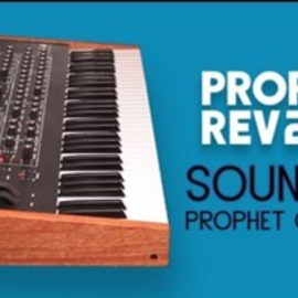 Analog Audio Prophet Classics Rev2 Patches (Premium)