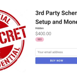 Holly Starks – 3rd Party Scheme Hack + GSA Setup and Money Robot Setup (Premium)