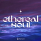 Origin Sound Ethereal Soul RNB Feels (Premium)
