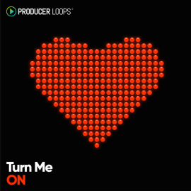 Producer Loops Turn Me On [MULTiFORMAT] (Premium)
