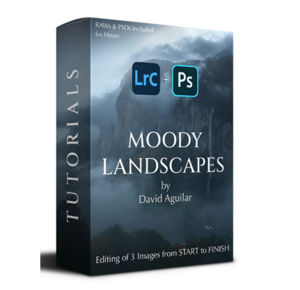 David Aguilar – Moody Landscapes