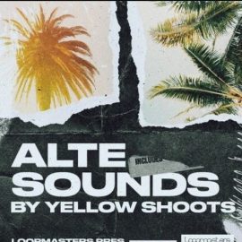 Loopmasters Alte Sounds By Yellow Shoots (Premium)