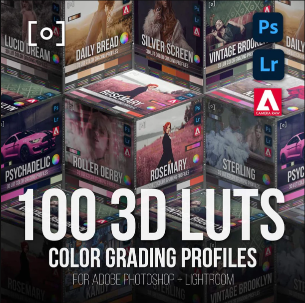PRO EDU – 100 3D LUT Profiles