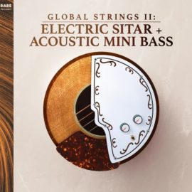 RARE Percussion Global Strings Vol.2: Electric Sitar and Mini Bass (Premium)