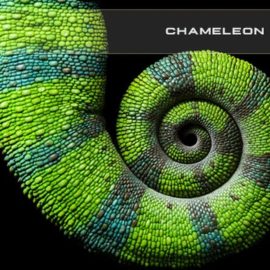 SoundsDevine Chameleon (Premium)