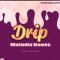 Soundtrack Loops Drip Melodic House (Premium)