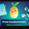 VueMastery – Pinia Fundamentals (Premium)