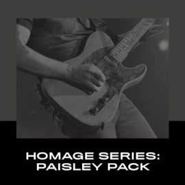 Alchemy Captures Homage Series Paisley ToneX Pack (Premium)
