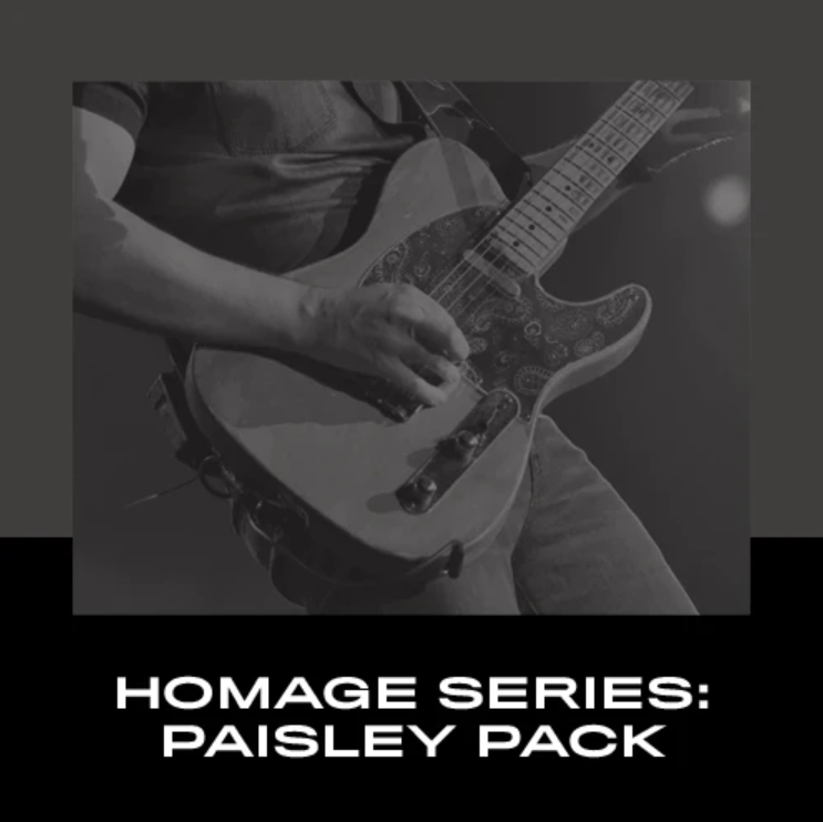 Alchemy Captures Homage Series Paisley ToneX Pack