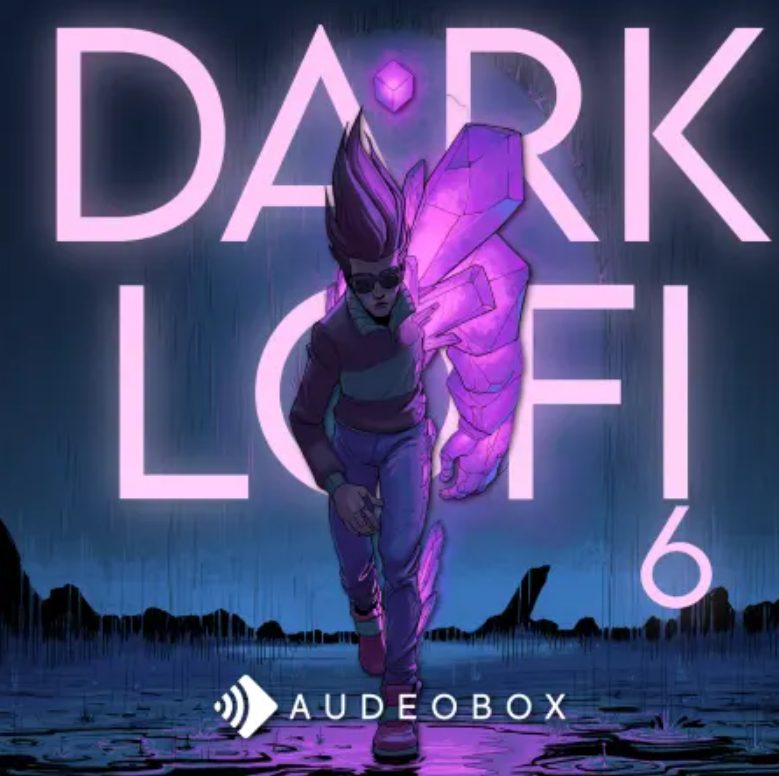 AudeoBox Dark Lo Fi 6
