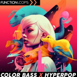 Function Loops Color Bass x Hyperpop (Premium)