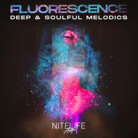 NITELIFE Audio Fluorescence: Deep and Soulful Melodics (Premium)