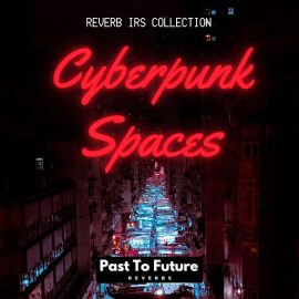 PastToFutureReverbs Cyberpunk Spaces! (Premium)