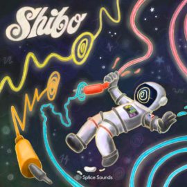 Splice Sounds Shibo Space Waves (Premium)
