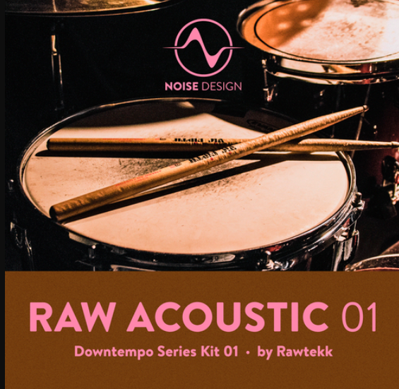 Steinberg Noise Design Raw Acoustic Downtempo 1