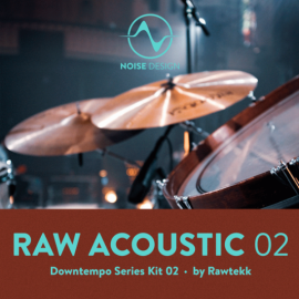 Steinberg Noise Design Raw Acoustic Downtempo 2 (Premium)