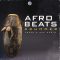 Aotbb Afrobeats Drummer Loops and One Shots (Premium)