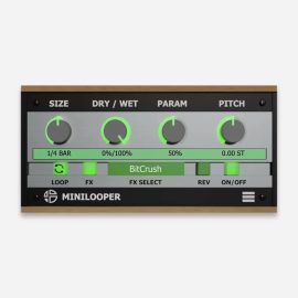 Audio Blast MiniLooper v1.0.0 (Premium)