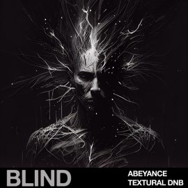 Blind Audio Abeyance Textural DnB (Premium)
