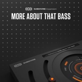 Diginoiz More About That Bass 1 Subdivine Expansion (Premium)